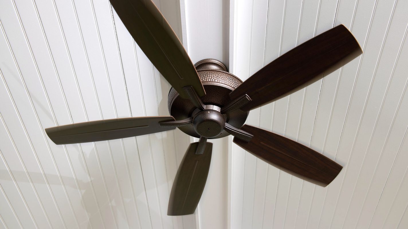 Ceiling fan